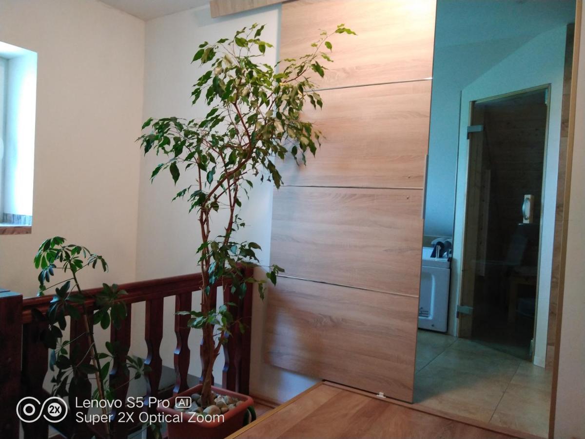 Wellness Beavital Apartment Dolany (Olomouc)