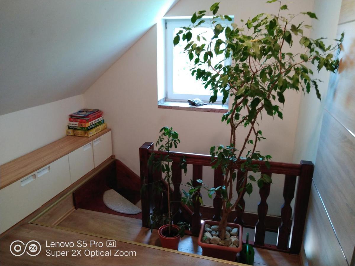 Wellness Beavital Dolany (Olomouc)